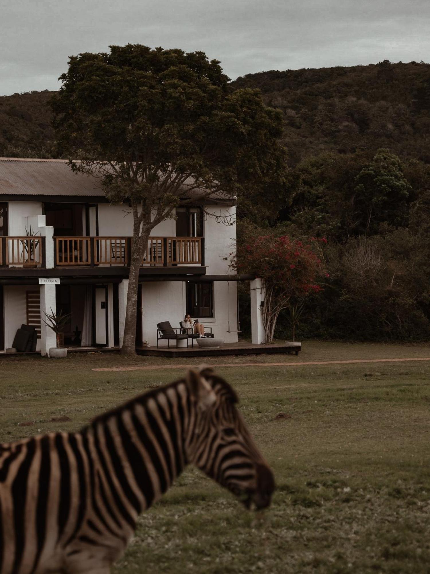 Stanley Island Villa Plettenberg Bay Exteriör bild